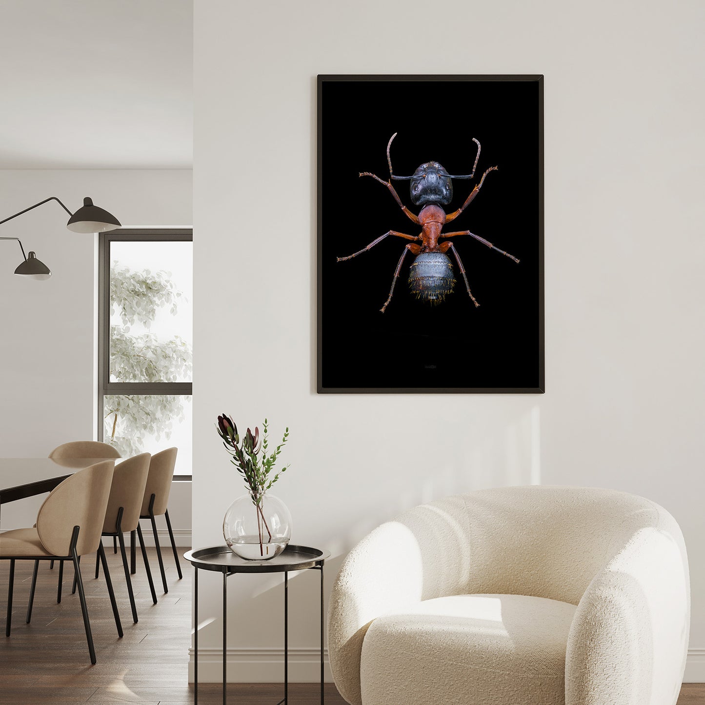 Brown-Black Carpenter Ant